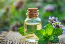 خواص روغن نعناع برای سینوزیت