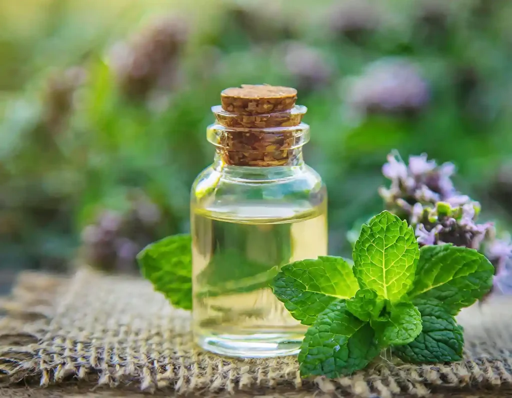 خواص روغن نعناع برای سینوزیت