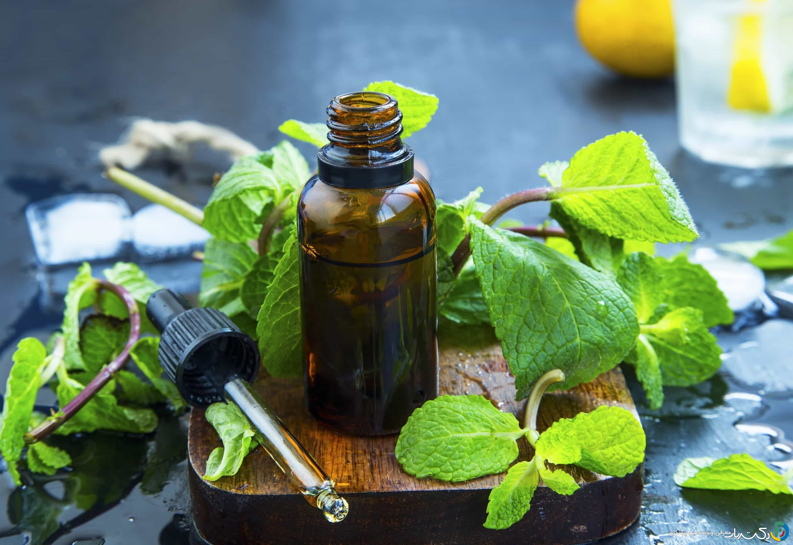 خواص روغن نعناع برای پوست