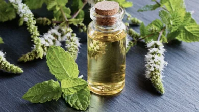خواص روغن نعناع برای سردرد