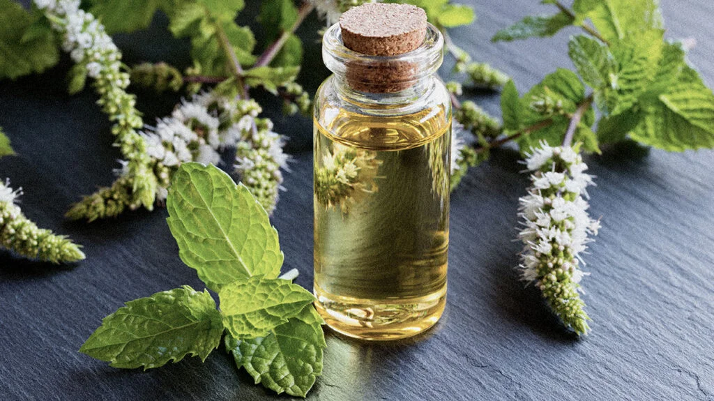 خواص روغن نعناع برای سردرد