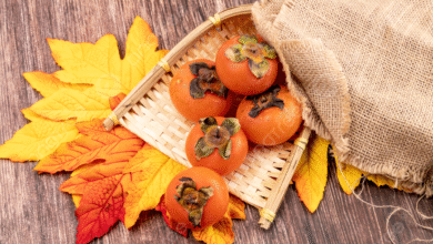 خواص خرمالو برای کودکان