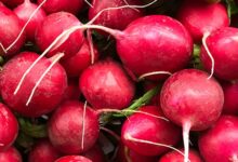 خواص تربچه برای مردان