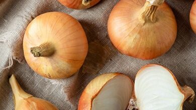 خواص پیاز خام برای کبد چرب