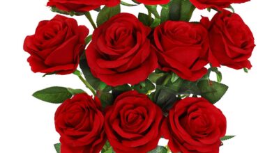 خواص گل سرخ برای مو