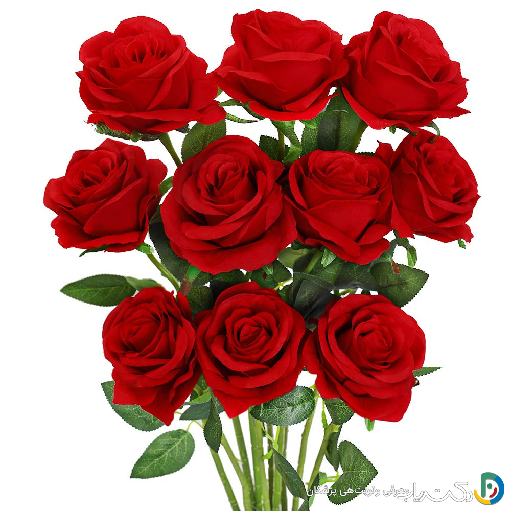 خواص گل سرخ برای مو