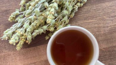 خواص چای کوهی برای لاغری