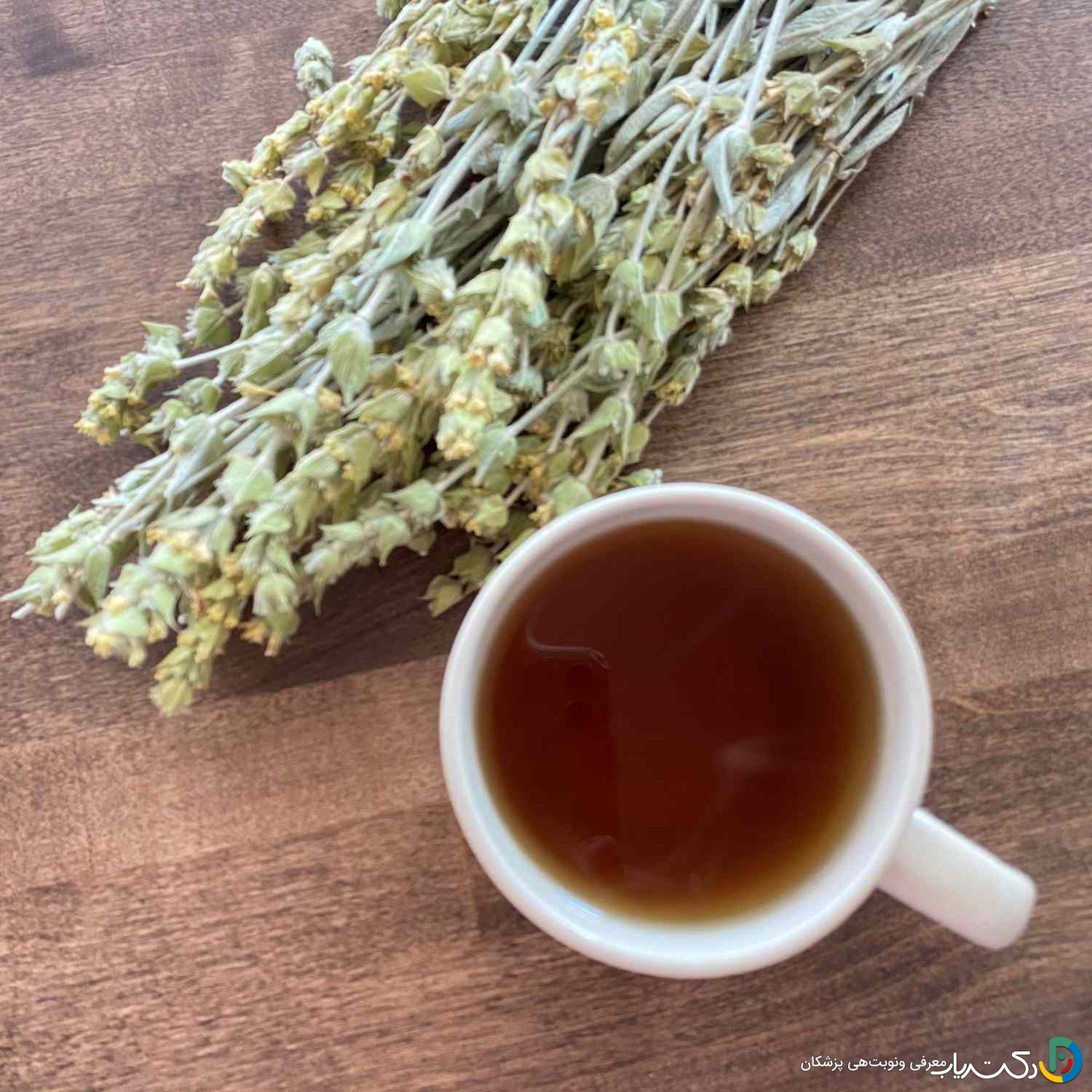 خواص چای کوهی برای لاغری