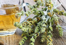 خواص چای کوهی برای مردان