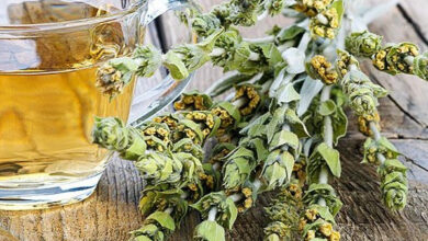 خواص چای کوهی برای مردان