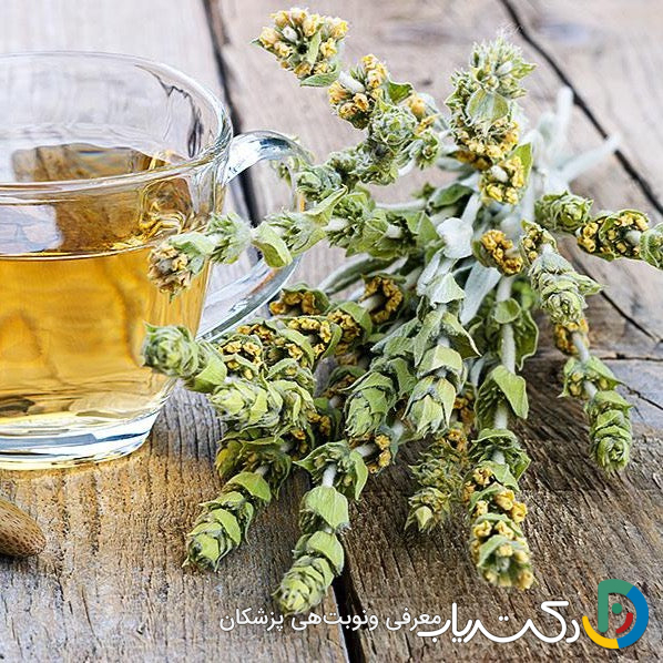 خواص چای کوهی برای مردان