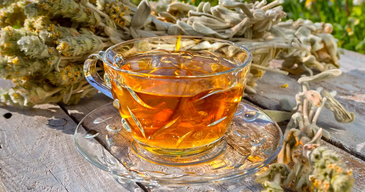 خواص چای کوهی برای عفونت واژن