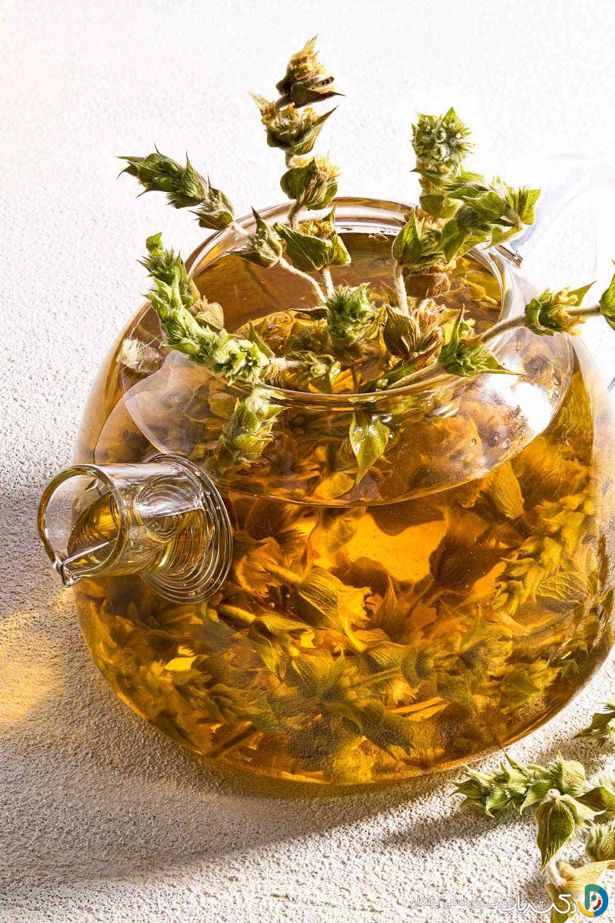 خواص چای کوهی برای اعصاب