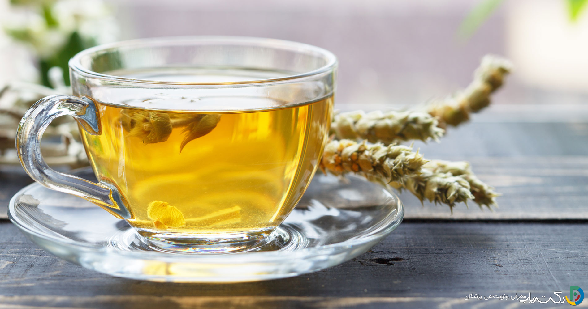 خواص چای کوهی برای رحم