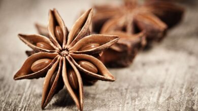 خواص بادیان ستاره ای برای نفخ شکم