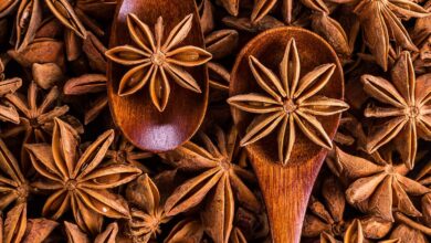 خواص بادیان ستاره ای برای مردان