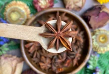 خواص بادیان ستاره ای برای معده