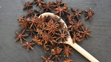 خواص بادیان ستاره ای برای لاغری