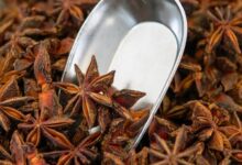 خواص بادیان ستاره ای برای زنان