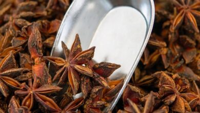 خواص بادیان ستاره ای برای زنان