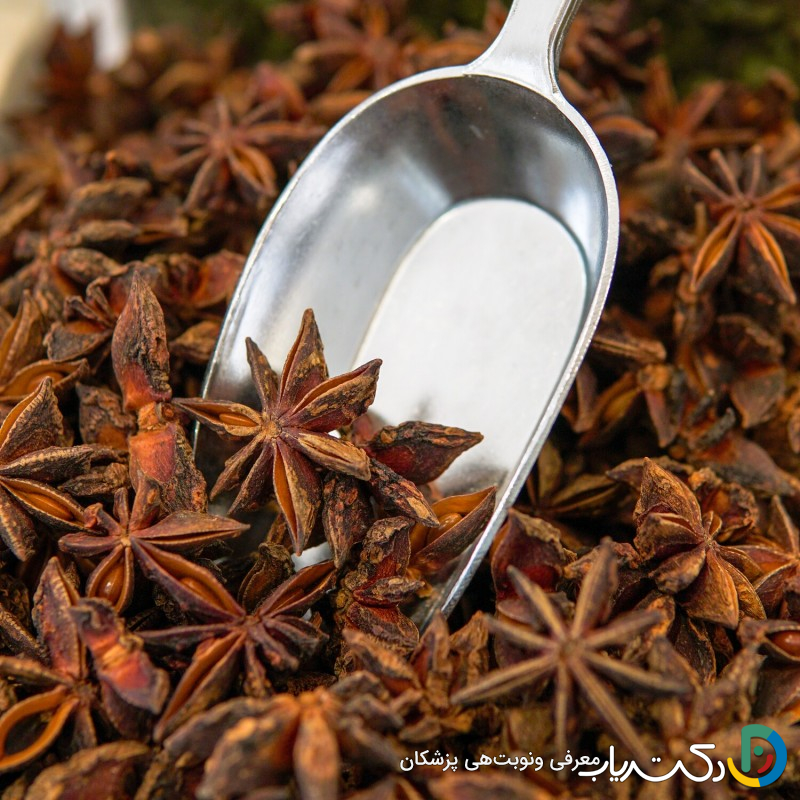 خواص بادیان ستاره ای برای زنان