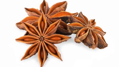 خواص بادیان ستاره ایب رای پوست صورت