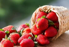 خواص توت فرنگی در بارداری