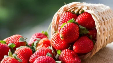 خواص توت فرنگی در بارداری