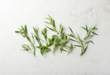 خواص ترخون برای مو