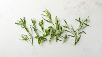 خواص ترخون برای مو