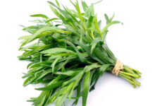 خواص ترخون برای مردان