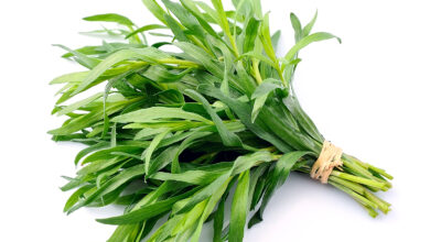 خواص ترخون برای مردان