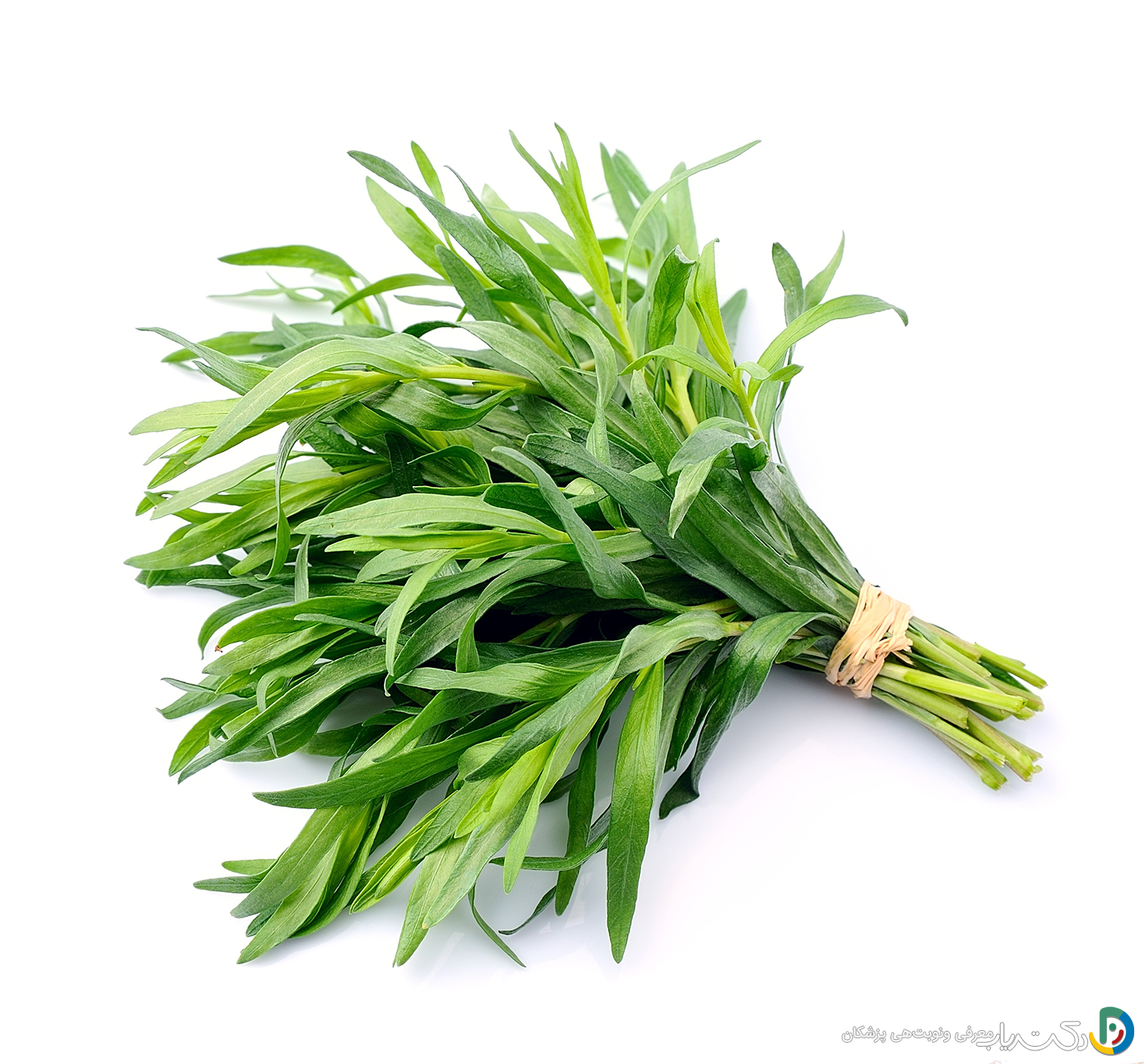 خواص ترخون برای مردان