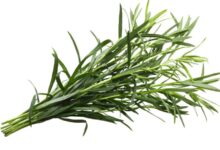 خواص ترخون برای فشار خون