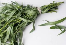 خواص ترخون برای کبد چرب