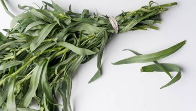 خواص ترخون برای کبد چرب