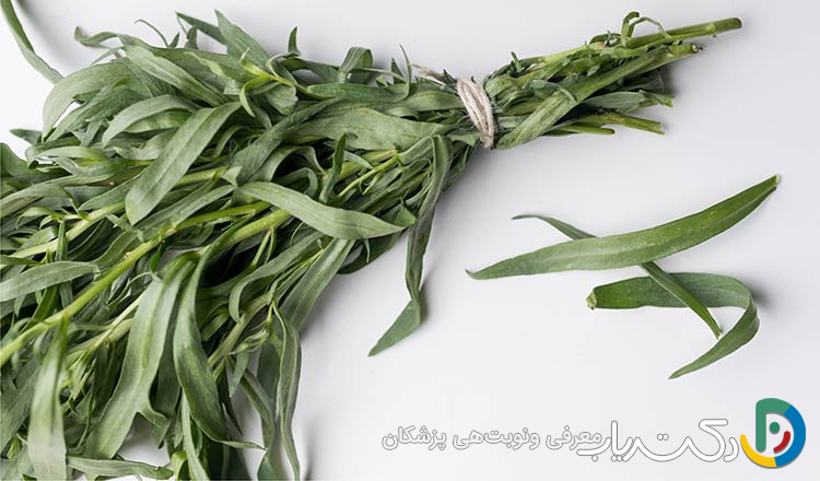 خواص ترخون برای کبد چرب
