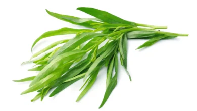 خواص ترخون برای سرماخوردگی