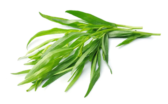 خواص ترخون برای سرماخوردگی