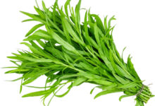خواص ترخون برای بوی بد دهان