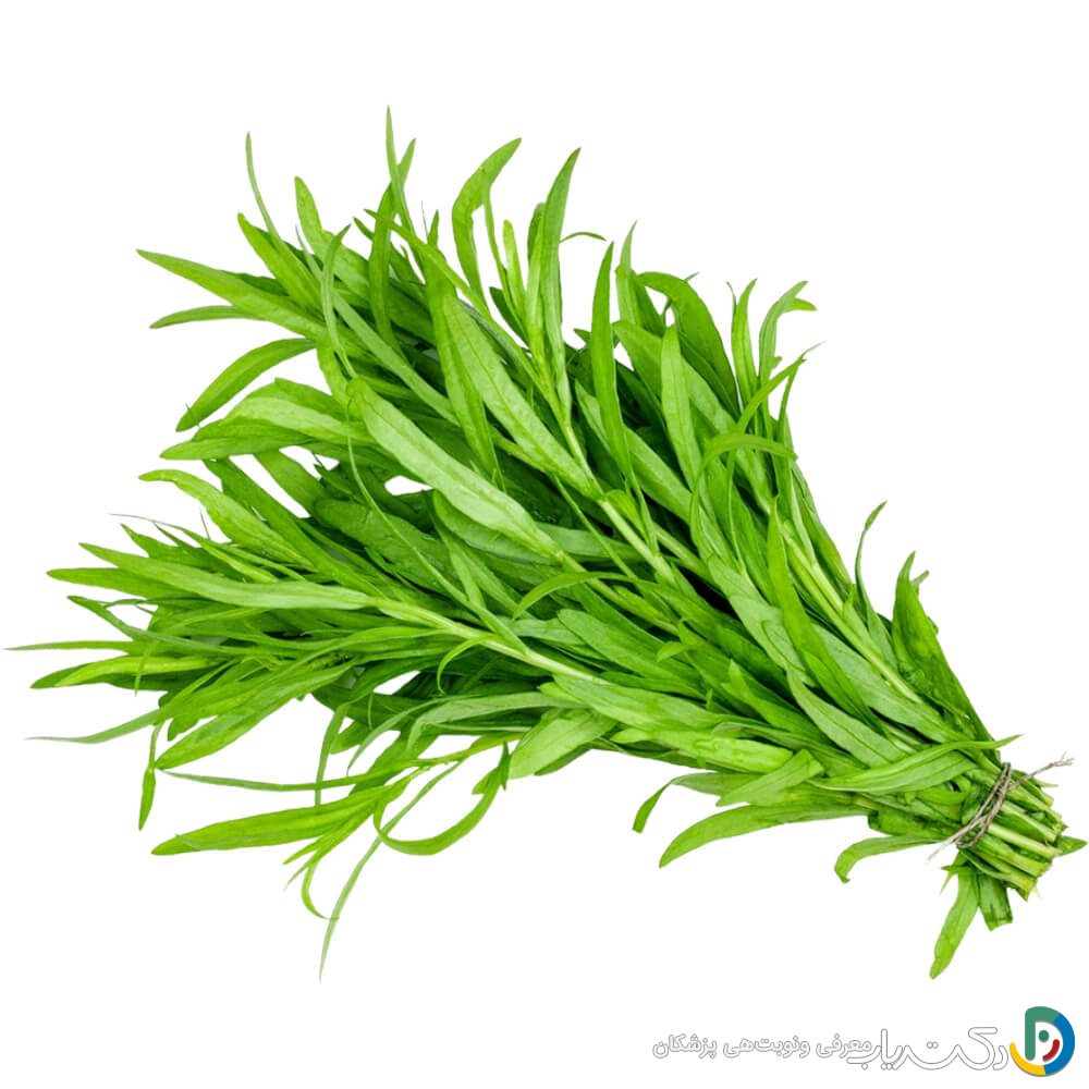 خواص ترخون برای بوی بد دهان