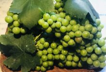 خواص غوره برای مردان