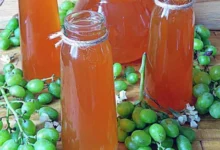 خواص غوره برای بدن