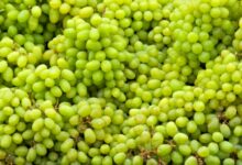 خواص غوره برای کلیه