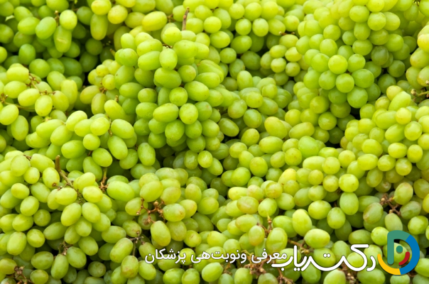 خواص غوره برای کلیه