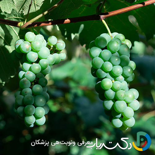 خواص غوره برای قلب