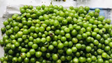 خواص غوره برای قند خون