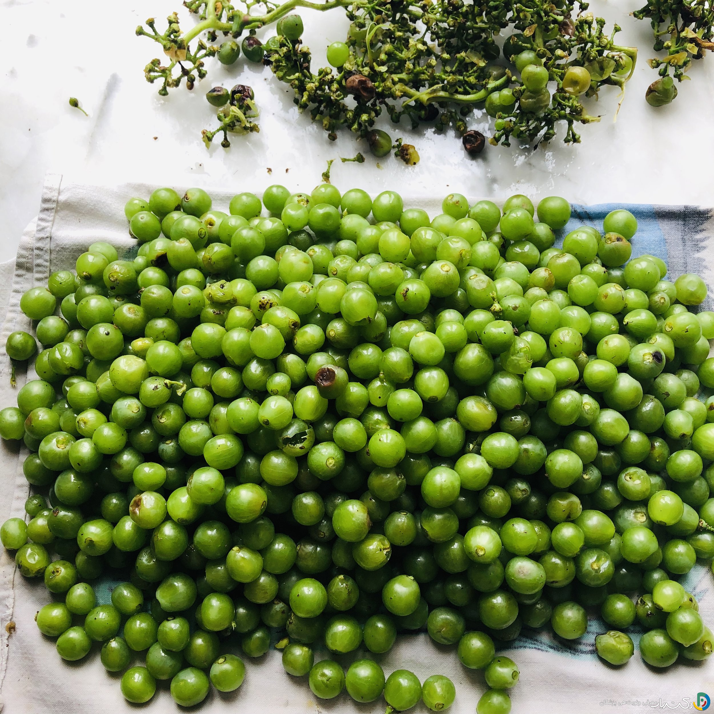 خواص غوره برای قند خون