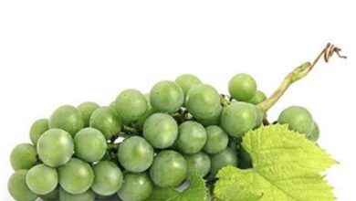 خواص غوره برای پوست