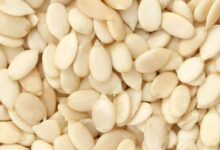 خواص تخمه هندوانه برای مردان